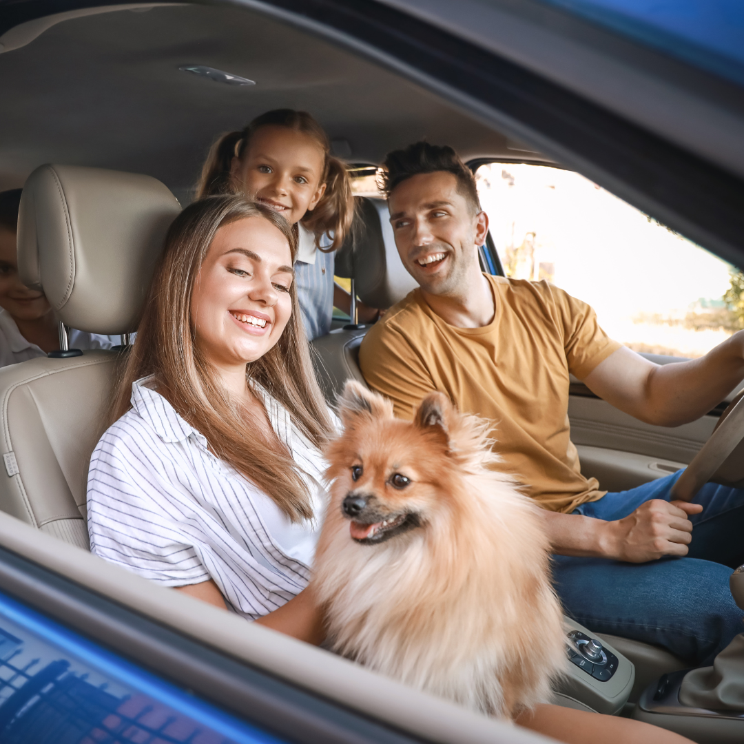 good car insurance in texas